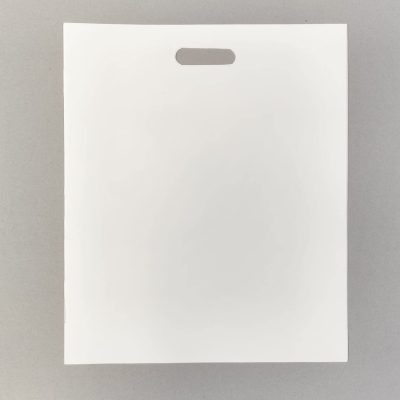 Sara MacKillop: Paper Bag Book